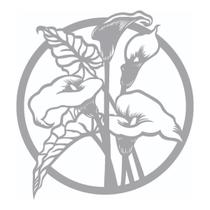 Quadro Decorativo Cinza Mdf Flor Copo De Leite 40X20Cm