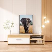 Quadro Decorativo com Madeira 50x70 Elefante - Londrinorte Molduras