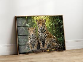 Quadro Decorativo com Moldura Acrilico Cristal Luxo Vidro Familia Onca 1 Filhote para Sala de Estar, Quarto e Escritório, Hall Horizontal Quadro Decorativo com Moldura Acrilico Cristal Luxo Vidro Familia Onca 1 Filhote para Sala de Estar, Quarto e Escritório, Hall Horizontal