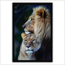 Quadro Decorativo com Moldura de Madeira 60x40 Casal Leões Quadro Decorativo com Moldura de Madeira 60x40 Casal Leões