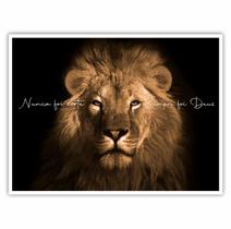 Quadro Decorativo com Moldura de Madeira 90x60 Leão Frase Motivacional Nunca Foi Sorte Sempre Foi Deus Grande para Sala Quarto Escritório