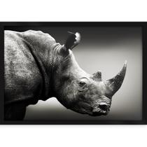 Quadro Decorativo com Moldura e Impressão em Vidro Animais Rinoceronte Preto e Branco