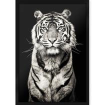 Quadro Decorativo com Moldura e Impressão em Vidro Animais Tigre Preto e Branco Fundo Preto