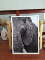 Quadro Decorativo com Moldura para Sala Imagem Elefante - Londrinorte Molduras
