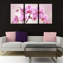 Quadro Decorativo Composição Trio 3 Peças Orquídea Rosa"