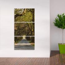 Quadro decorativo Corredor de Árvores Vertical Natureza Quadro decorativo Corredor de Árvores Vertical Natureza