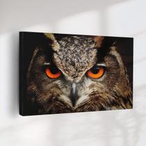 Quadro Decorativo Coruja Quadro Decorativo Coruja