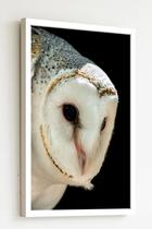 Quadro Decorativo Coruja Perfil Fundo Preto - 70X50Cm Quadro Decorativo Coruja Perfil Fundo Preto - 70X50Cm