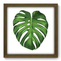 Quadro Decorativo - Costela de Adão - 33cm x 33cm - 171qddm