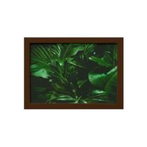 Quadro Decorativo Costela de Adão Moldura Marrom 22x32cm