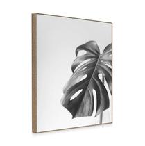 Quadro Decorativo Costela de Adão Toque Elegante e Natural para sua Decoração