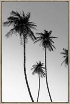 Quadro Decorativo De Canvas Palm Beach A 60 X 90 X 3,5 cm - Visage Quadro Decorativo De Canvas Palm Beach A 60 X 90 X 3,5 cm - Visage