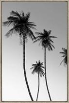 Quadro Decorativo De Canvas Palm Beach A 60 X 90 X 3,5 cm - Visage