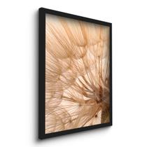 Quadro Decorativo Dente De Leão Zoom Plantas 45x33 C/Vidro Quadro Decorativo Dente De Leão Zoom Plantas 45x33 C/Vidro
