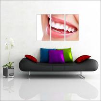 Quadro Decorativo Dentista Consultórios Profissão Salas Decorações 3 peças Com Moldura