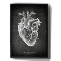 Quadro Decorativo Desenho Coração Humano Anatomia
