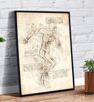 Quadro Decorativo Desenho Corpo Humano Anatomia Art - Tribos