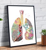 Quadro Decorativo Desenho Pulmão Colorido Anatomia - Tribos