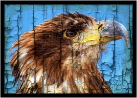 Quadro Decorativo Design Ilustração Águia Abstrato Com Moldura RC008