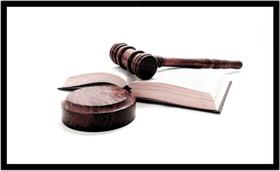 Quadro Decorativo Direito Advogados Martelo Livro Lei Escritórios Quartos Salas Com Moldura RC028