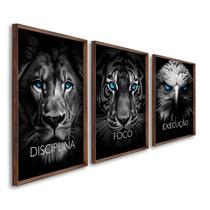 Quadro Decorativo Disciplina Foco Execução 60x90cm Leão Tigre Águia para Sala, Escritório, Hall Sem Vidro