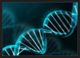 Quadro Decorativo Dna Biologia Medicina Farmácia Decorações Com Moldura Quadro Decorativo Dna Biologia Medicina Farmácia Decorações Com Moldura