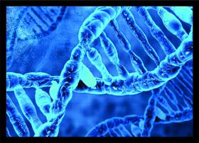 Quadro Decorativo Dna Biologia Medicina Farmácia Decorações Com Moldura Quadro Decorativo Dna Biologia Medicina Farmácia Decorações Com Moldura