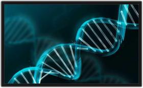 Quadro Decorativo DNA Ciências Biologia Medicina Com Moldura Quadro Decorativo DNA Ciências Biologia Medicina Com Moldura