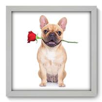 Quadro Decorativo - Dog - 33cm x 33cm - 030qdob Quadro Decorativo - Dog - 33cm x 33cm - 030qdob