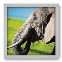 Quadro Decorativo - Elefante - 33cm x 33cm - 119qdsb