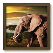 Quadro Decorativo - Elefante - 33cm x 33cm - 124qdsm