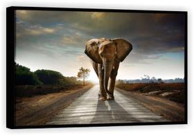 Quadro Decorativo Elefante Animais Tela Canvas Premium Salas G01