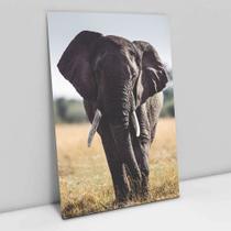 Quadro Decorativo Elefante Caminhando em tela Canvas