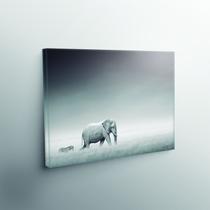Quadro Decorativo Elefante e Zebra P&b