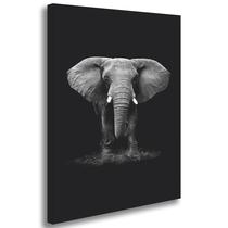 Quadro Decorativo Elefante Fundo Escuro Sala Quarto Escritorio Hall Tela Grande 80x50cm