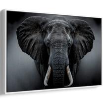 Quadro decorativo Elefante Majestoso na Névoa Ancestral - Art Canvas