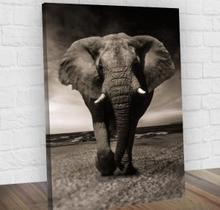 Quadro Decorativo Elefante Midiapoparte Salas 60X80