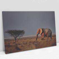 Quadro Decorativo Elefante na Savana em tela Canvas