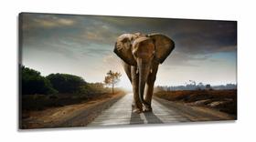 Quadro Decorativo Elefante No Caminho 130x60 em Tecido Canvas