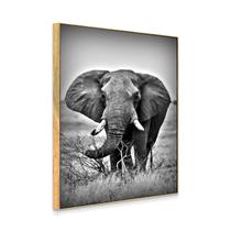 Quadro Decorativo Elefante P&B