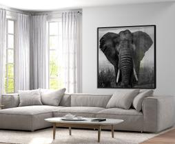 Quadro Decorativo Elefante Preto e Branco Moderno com Vidro para Sala 120X120cm - Moldura Premium Quadro Decorativo Elefante Preto e Branco Moderno com Vidro para Sala 120X120cm - Moldura Premium