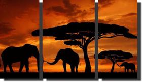 Quadro Decorativo Elefante Savana Africa 3 Peças Quadro Decorativo Elefante Savana Africa 3 Peças