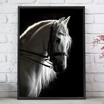 Quadro Decorativo Emoldurado Cavalo Branco Animais Fundo Preto Para sala quarto