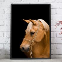 Quadro Decorativo Emoldurado Cavalo Caramelo Animais Fundo Preto Para sala quarto