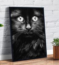 Quadro decorativo emoldurado Gato Preto Animais Tumblr Foto