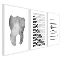 Quadro Decorativo Escrirório Dentista Cinza P Com Moldura