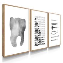 Quadro Decorativo Escrirório Dentista Cinza P Com Moldura Quadro Decorativo Escrirório Dentista Cinza P Com Moldura