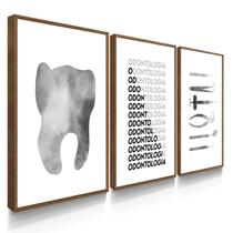 Quadro Decorativo Escrirório Dentista Cinza P Com Moldura Quadro Decorativo Escrirório Dentista Cinza P Com Moldura