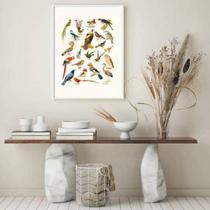 Quadro Decorativo Espécies de Passarinhos 45x34cm