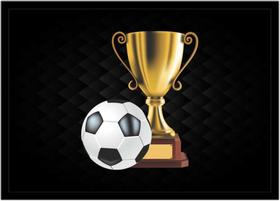 Quadro Decorativo Esportes Taça Futebol Dourada Bola Troféu Lojas Quartos Salas Com Moldura RC122
